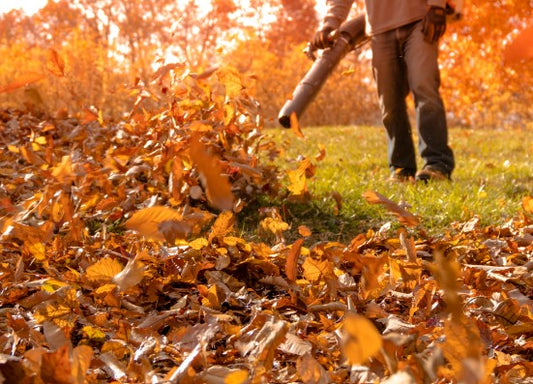 Leaf Removal (Fall Season)